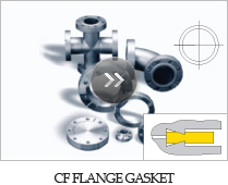 CF FLANGE GASKET