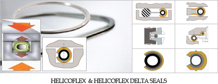 HELICOFLEX  & HELICOFLEX DELTA SEALS